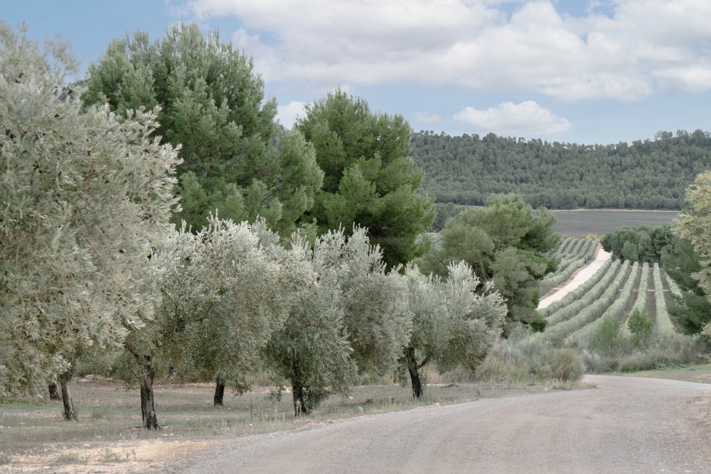 Nuestro compromiso con la sostenibilidad